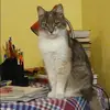 Отзыв от Венера Кононова